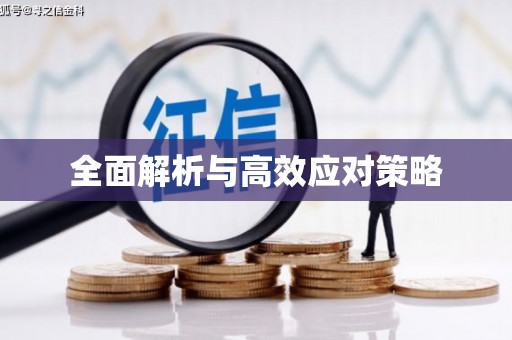 蒲县全面解析与高效应对策略
